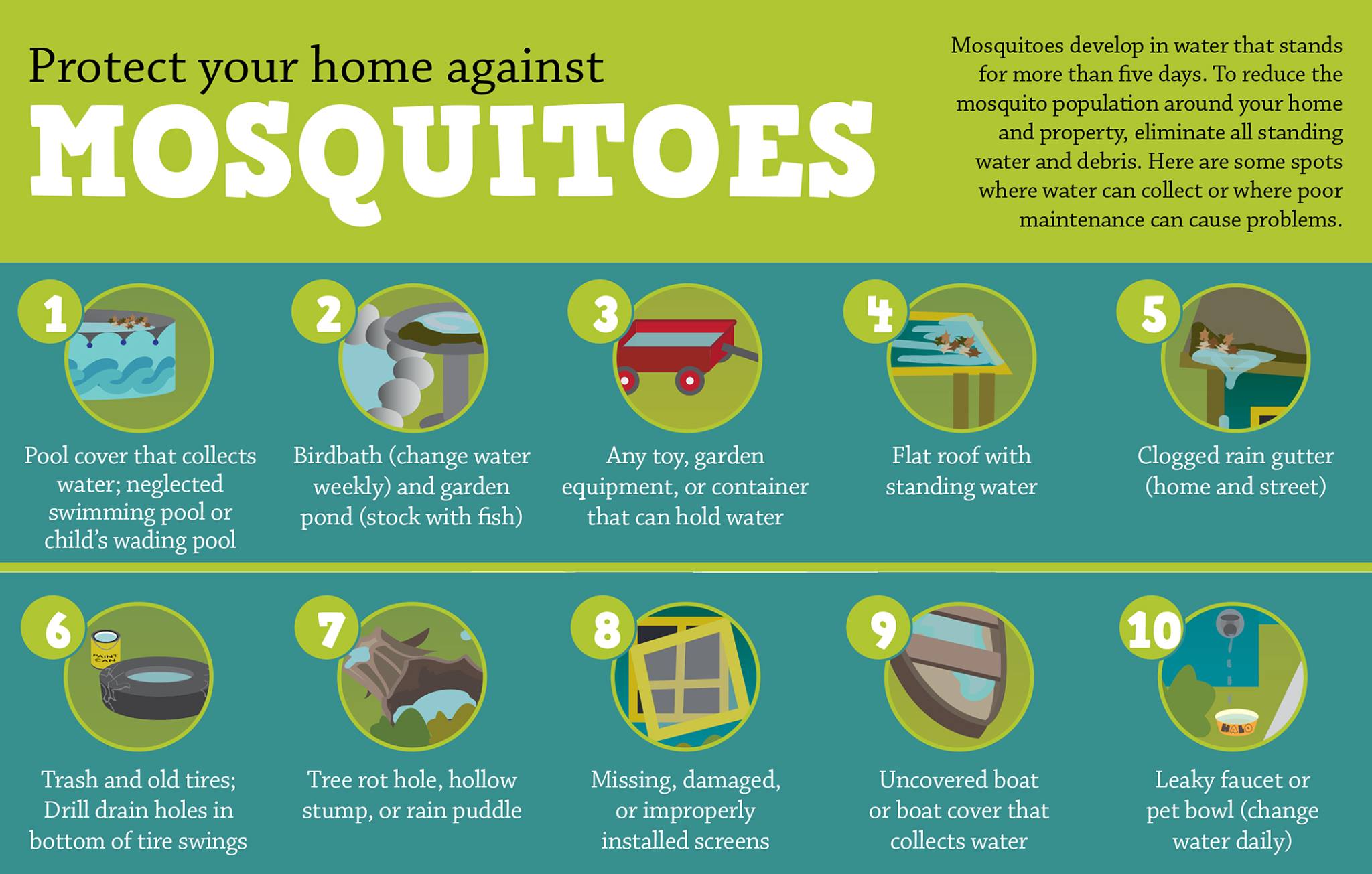 Mosquito protection Graphic